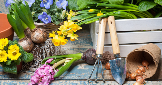 small herb household christmas gifts gardening trowel sustainable living mini garden tool minimalist room décor friendly products christmas mums gifts anxiety remedy meditation exercise holistic sustainable hobby