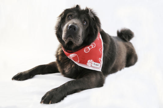 Red bandana for dogs Cat Rabbit Bunny hamster Birthday Gifts Christmas Present for pet parents travel essentials apparel accessories