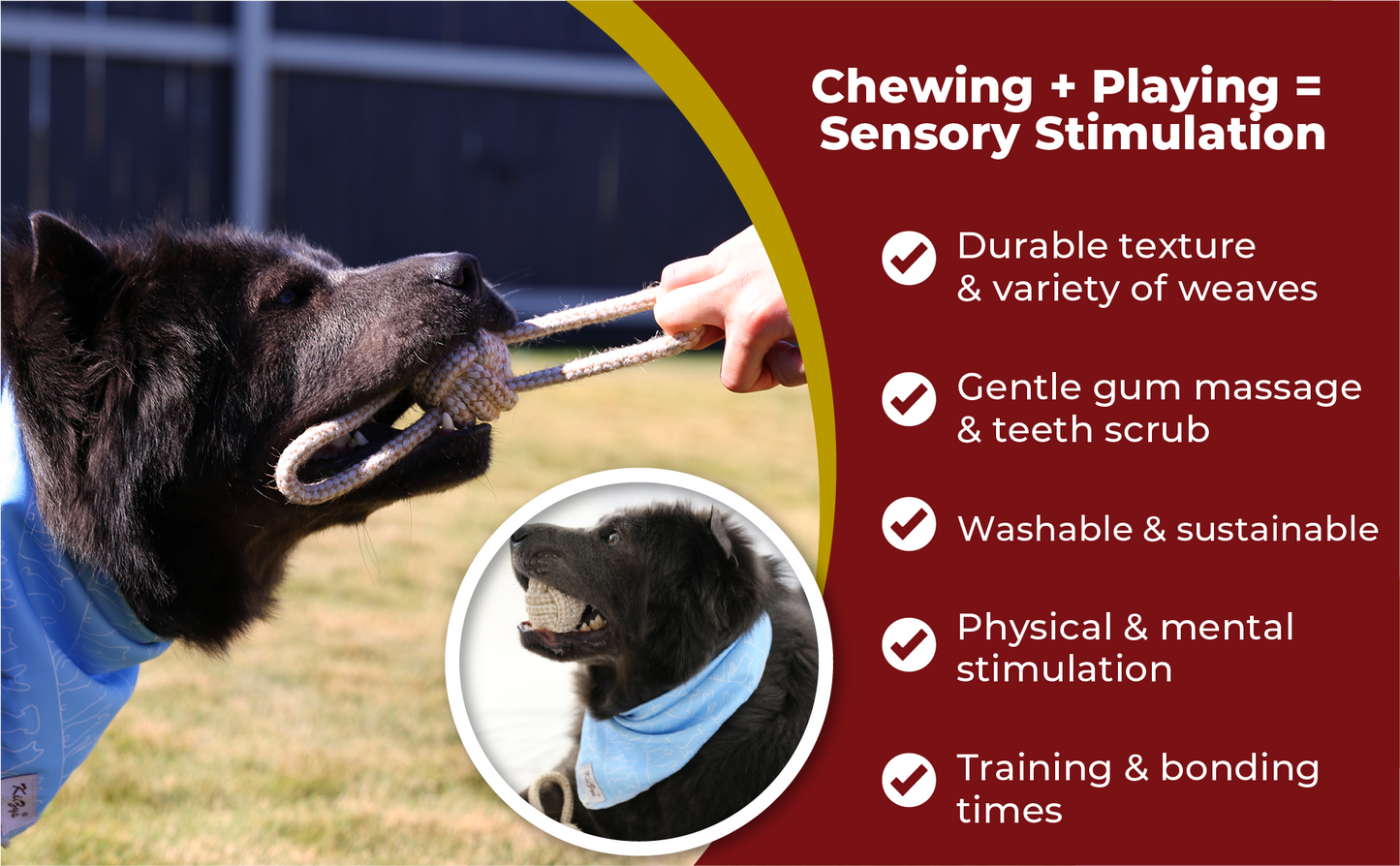 dog calming chews dog food storage dog food scoop gift for mom doggy poop bags dog treat dog chew toys puppy toys to keep them busy womens gifts gift for women dog training dog clothes for small dogs dog toys for small dogs dogs cute things dog enrichment toys pet owners dog dental chew dog water bottle small dog toys cat accessories gift for women training clothes for large dogs dog tug toys for small dogs christmas bandana best chew toys for puppies durable dog toys dog gift baskets