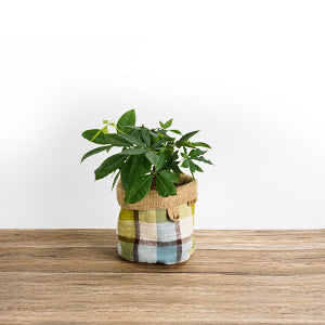 KiiZYs - House Plant Pot Covers (5' 6' 8' Inch) - Green Reversible