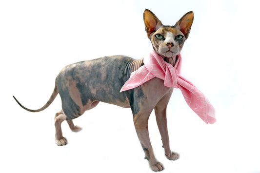 dog bandana pink cat scarf pet essentials birthday gift christmas for dog mums travel accessories