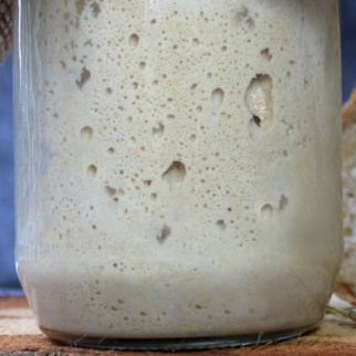 Gluten Free Sourdough Starter